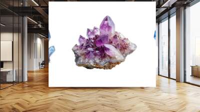 blue & purple crystal set isolated on a transparent or white background, Png Wall mural