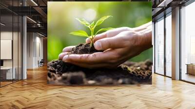 Plants in hands enviroment farmer Wall mural