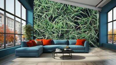 Close up of green grass plant background or texture Wall mural