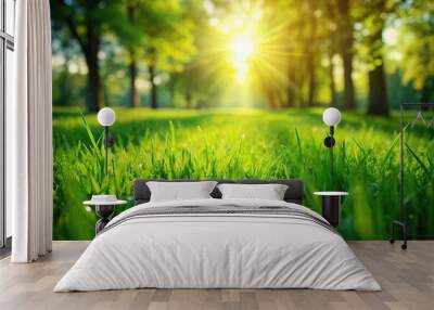 Fresh green grass in a summer nature background with leading lines Wall mural