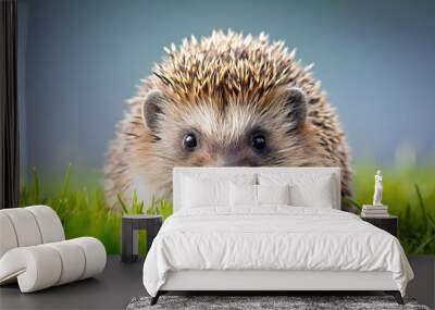 High angle view of a cute hedgehog in nature, isolated in a grassland studio Wall mural