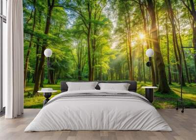 Sunny forest clearing with green trees Wall mural