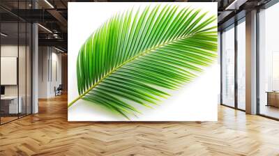 tropical coconut leaf isolated on white background at a tilted angle Wall mural