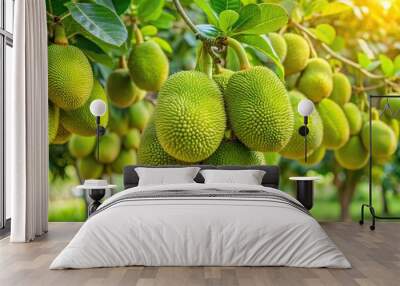 Tropical jackfruits on tree in garden Wall mural