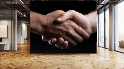 Two mature men shake hand in dark background  Wall mural