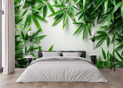 wide closeup photo of natural green color fresh bamboo branch in white background with blank text space  Wall mural