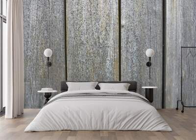 The old wood texture with natural patterns Wall mural