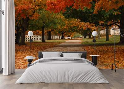 Fall Trees Down a Country Road Wall mural