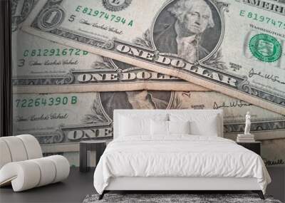 American Banknotes Wall mural