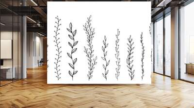 Leafs plants hand draw vector. Drawing beautiful  creeper leaf, decorative set Wall mural