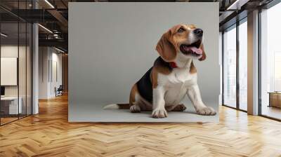 happy beagle portrait sitting and standing isolated on a white background Wall mural