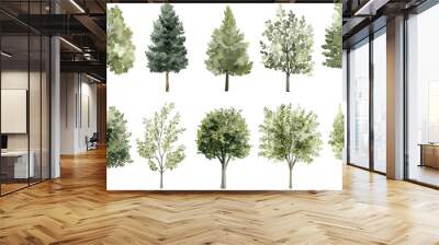 Watercolor Tree Illustrations Featuring a Variety of Green Foliage and Evergreen Trees Wall mural