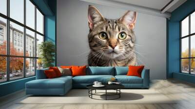 A close-up photo of a playful and curious gray tabby cat, feline, domestic animal, pet, whiskers, fur, cute, eyes, adorable Wall mural