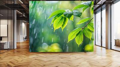 Close-up image of rain-soaked leaves in a lush forest setting , forest, rain, leaves, nature, green, wet, fresh, foliage Wall mural