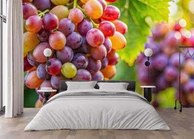 Close-up of a bunch of fresh grapes, grapes, fruit, close-up, fresh, vine, purple, healthy, organic, juicy, agriculture, harvest Wall mural