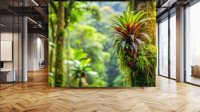 Epiphyte plant thriving on a tree in a tropical rainforest , nature, green, foliage, growth, botanical, jungle, vibrant Wall mural