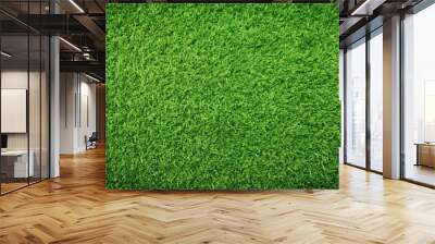 Green grass texture background with a top view, perfect for a green lawn, grass, texture, background, top view, green, lawn Wall mural