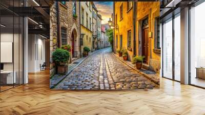 Narrow cobblestone street in the historic old town of Europe , Old town, historic, charming, cobblestone, narrow Wall mural