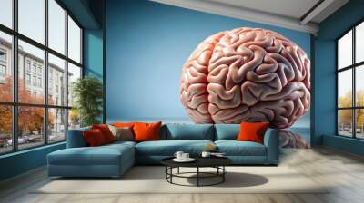 of a detailed human brain on a clean background, brain, neuroscience, anatomy, medical, health, science, intelligence Wall mural