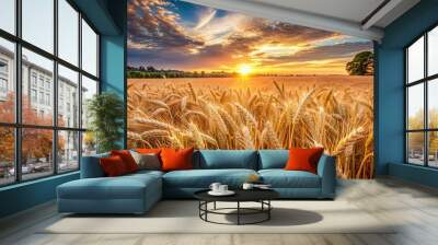 Ripe barley crops in a beautiful cultivated landscape during summer sunset , harvest, barley, crops, agriculture, cultivated, landscape Wall mural