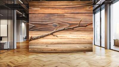 Tree twig branch isolated on background, dry wooden stalk, wood, plant, nature, organic, isolated,background Wall mural