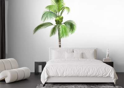 3D rendering - tall coconut tree  isolated over a white background use for natural poster or  wallpaper design, 3D illustration Design. Wall mural