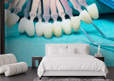 Close up shade guide for check color of tooth crown in clinic. Wall mural