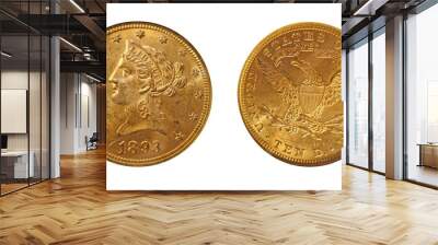 usa 1893 10 dollars gold eagle Wall mural