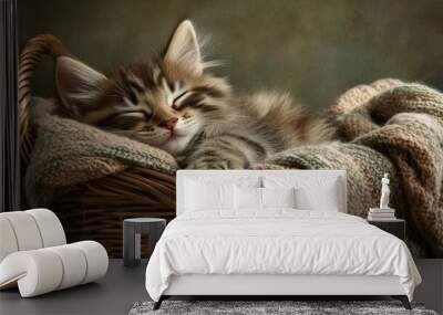 A fluffy kitten napping in a wicker basket lined with soft blankets, looking peaceful and content. Wall mural