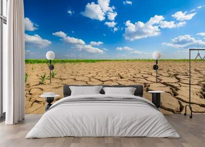 Parched earth with emerging crops under a bright blue sky Wall mural