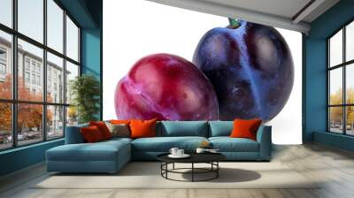 two fresh plums isolated on white background. Wall mural