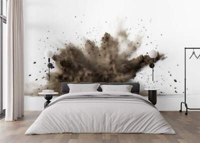 Dry soil explosion isolated on white background.Abstract dust explosion on white background Wall mural