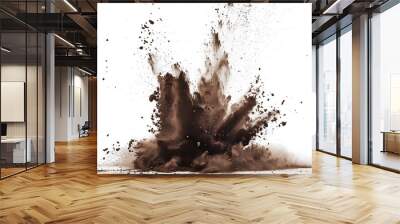 Dry soil explosion isolated on white background.Abstract dust explosion on white background Wall mural