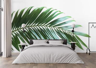 Tropical green palm leaf Wall mural