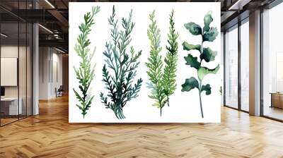 watercolour seaweed set isolated on white background Wall mural