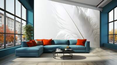 white feather white background Wall mural