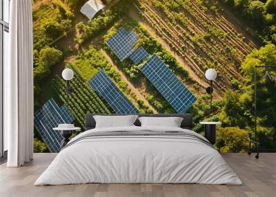 Aerial image of African developments beside a busy highway, with solar panels atop farms to ensure fresh vegetables for the metropolis Wall mural