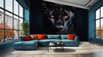 Front view of Panther on dark background. Predator series Wall mural