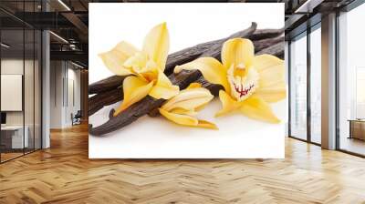 Vanilla pods and their flowers, isolated on a white background, captured in a close-up shot. These aromatic spices add a touch of sweetness to dishes. Wall mural