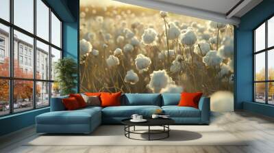 White, fluffy cotton balls adorn the field, ready for harvest. Wall mural