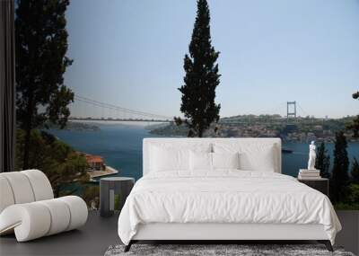 Istanbul Bosphorus landscape trees sea 2 Wall mural