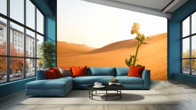 A plant growing on a desert land at sunrise. Rebirth, hope, brighter future concept. Wall mural