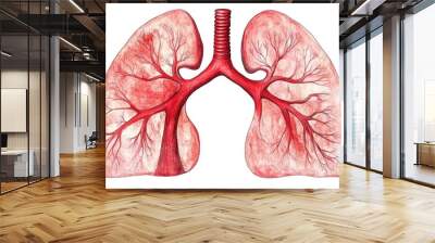 Pair Of Human Lungs With A White Background, Lungs, Respiratory Flap, Finely High Detail Medical Image  Illustration, Breathing System, Medical Diagram Wall mural