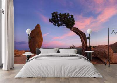 Juniper Tree and Balance Rock, Joshua Tree National Park, CA Wall mural