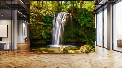 Corbett Waterfall at Corbett National Park, Uttrakhand, India Wall mural