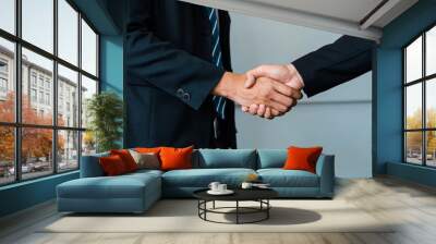 Business people agreement concept. Businessman do handshake with another businessman in the office meeting room. uds Wall mural