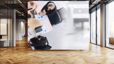 Business people group meeting shot from top widen view in office . Profession businesswomen, businessmen and office workers working in team conference with project planning document on meeting table . Wall mural