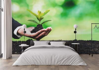 Businessman hold young seedling on fertile soil for eco forest regeneration. Eco Corporate policy for environmental awareness and sustainable future, saving planet by reducing carbon footprint. Alter Wall mural