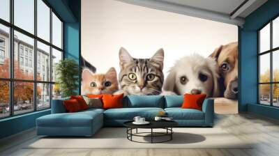 Dogs and Cats, peeking over the clear solid white top line, petshop banner, happy, smile, funny. Generative AI image weber. Wall mural