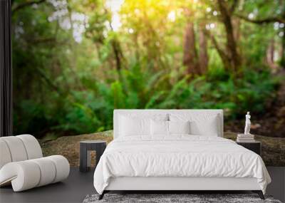 Empty rock table for product display in jungle of Tasmania, Australia. Nature product advertisement concept. Wall mural